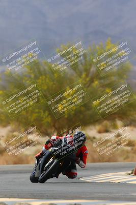 media/Apr-10-2022-SoCal Trackdays (Sun) [[f104b12566]]/Turn 5 Tree of Life (1040am)/